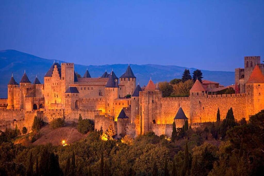 Apartmán Chez Micka Carcassonne Exteriér fotografie